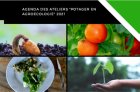 AgendaDesAteliersPotagersEnAgroecologie20_laert2.jpg