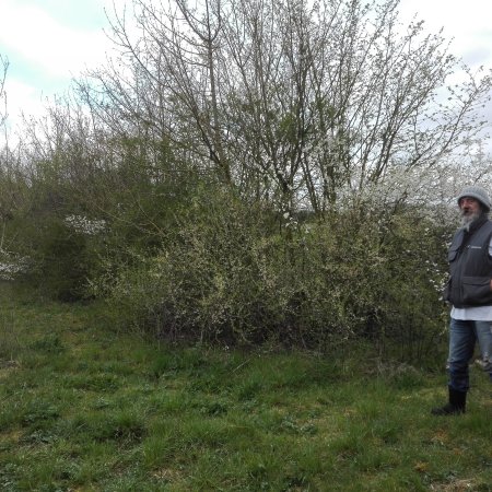 Atelier permaculture