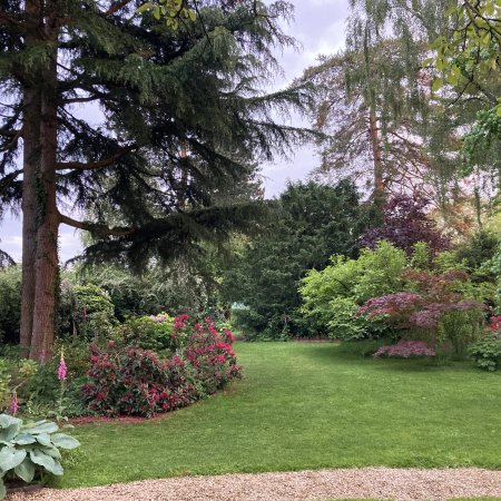 De branche en branche