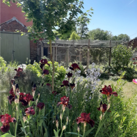 Bienvenue dans les éco-jardins de Wandignies-Hamage