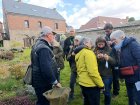 Syrphons_au_jardin_chez_Arlette.jpg