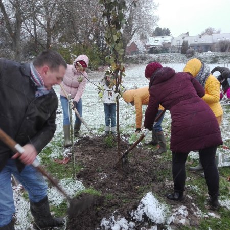 Chantier participatif