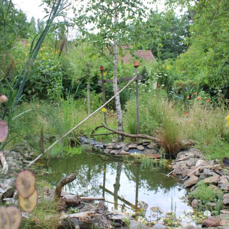 Créer un refuge pour les oiseaux