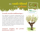 DeNouvellesFichesEcoJardins_screenshot_2021-04-27-2021-03-03_fiche_saule_a5_v1_web-pdf.png