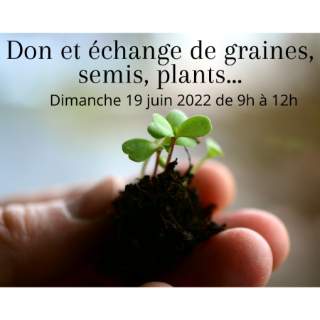 Dons et échanges graines et plants: Les Graines évadées de Brunehaut 