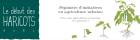 FichesConseilJardinPartage_screenshot_2019-07-09-publications-le-debut-des-haricots.png