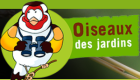 FichesDIdentiteDesOiseaux_screenshot_2019-07-09-accueil-www-oiseauxdesjardins-fr.png
