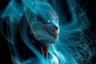 magical6046020_1280.jpg