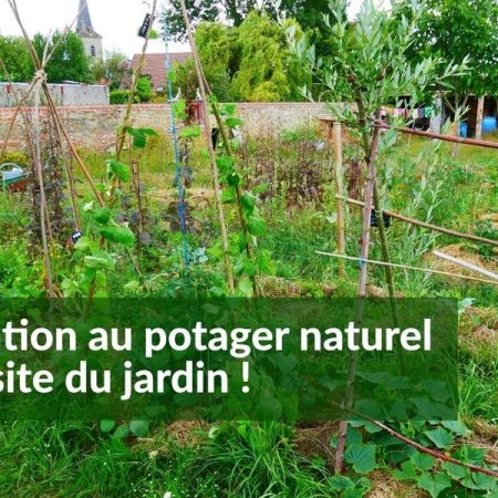 Initiation au potager naturel