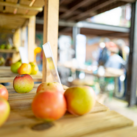 Journée pressage de pommes