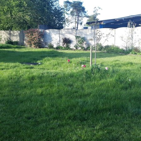 Au jardin de LaMaClo