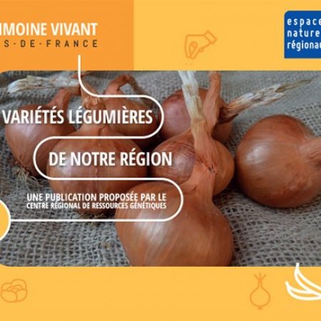 Les variétés légumières des Hauts-de-France