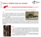 LoirsEtL2rotsDansMaMaison_screenshot_2019-12-23-ft_loirs_lrots_red-pdf.png