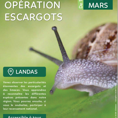 Opération escargots 