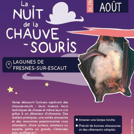 Nuit de la chauve-souris