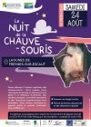 NuitDeLaChauveSouris_nuit-chs-fresnes.jpg