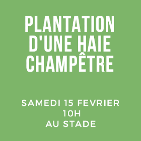 Participez à des plantations