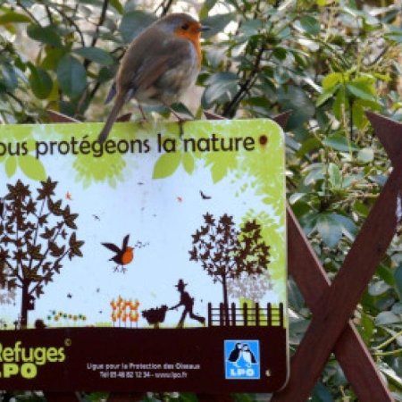 Porte ouverte - fête de la nature