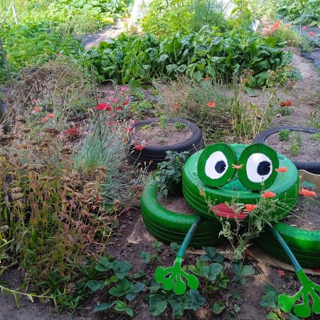 Portes ouvertes des jardins partagés du préau de Bernissart