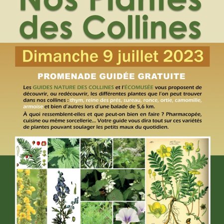 Promenade "Nos plantes des Collines"