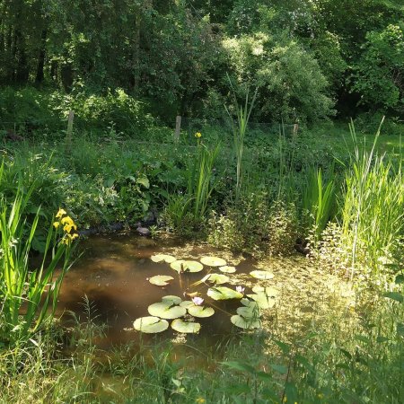 TOUS AU JARDIN !