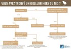 QueFaireDUnOisillonTombeDuNid_60768676_166146494412658_1550050093648838656_o.jpg