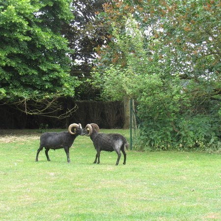 TOUS AU JARDIN !