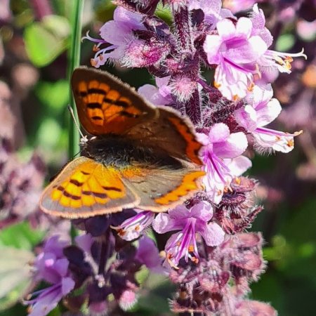 TOUS AU JARDIN ! 