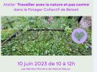 TousAuJardin28_346062920_521939519973225_6790480850521688163_n.jpg