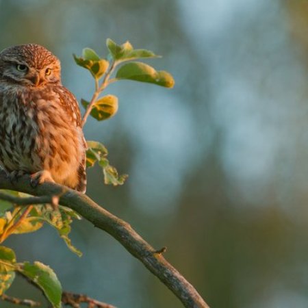 Tous au jardin !