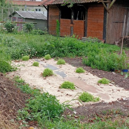 Au Jardin de la Tisanerie