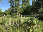 Photo_JArdin_1.jpeg