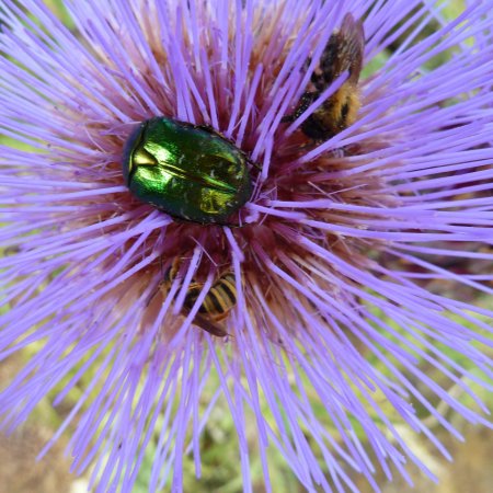 TOUS AU JARDIN !