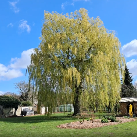Au Jardin du Coq