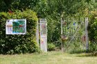 _MG_4407ed.delecourt_wp_wp.jpg