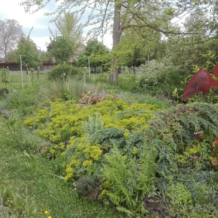 Un nouvel éco-jardin témoin à découvrir