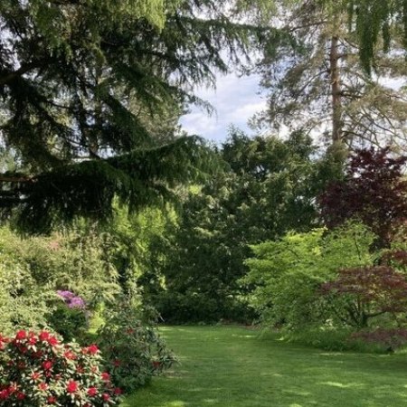 Au Jardin de Branche en Branche