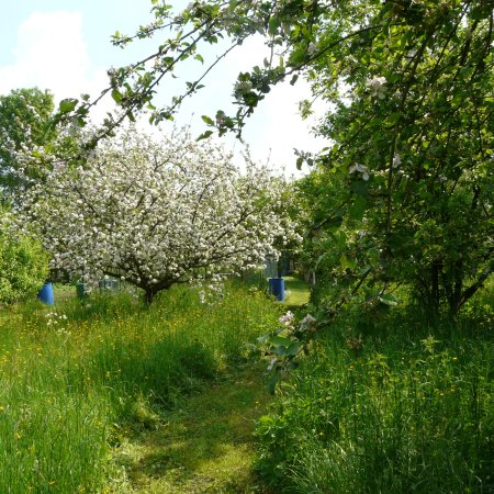 TOUS AU JARDIN !