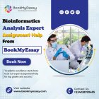 BioinformaticsAssignmentHelp_bme-smo-post.jpg