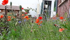 lesenfantsdelecoledewandignieshamage_20170624_134711.jpg